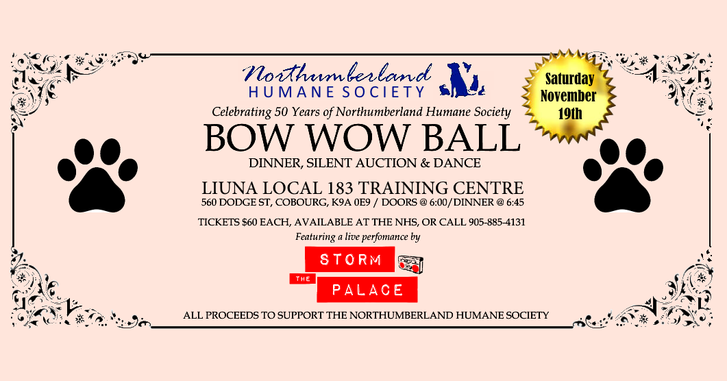 bow-wow-ball-banner-2016-v4