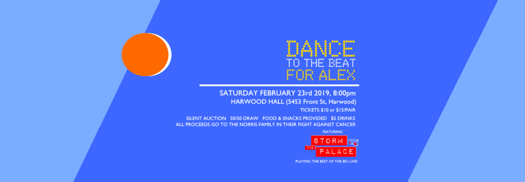 storm the palace 80s 90s retro cover band toronto party Port Hope harwood dance to the beat for alex benefit cancer