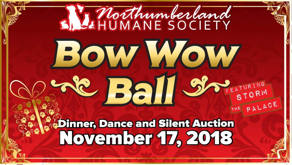 northumberland humane society storm the palace retro 80s 80's cover band toronto party wedding corporate GTA port hope cobourg 1980s 1980's music