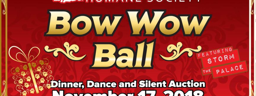 northumberland humane society storm the palace retro 80s 80's cover band toronto party wedding corporate GTA port hope cobourg 1980s 1980's music