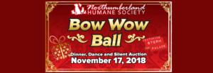 northumberland humane society storm the palace retro 80s 80's cover band toronto party wedding corporate GTA port hope cobourg 1980s 1980's music